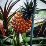 Диана Холстинина - @dianaholstinina2020 - Instagram