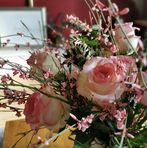 Diana Holst - Facebook