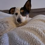 Diana Hübner - @hubner1944 - Instagram