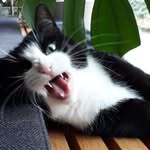 Diana Hübner - @minki7447 - Instagram