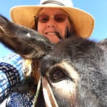 Diana Will Hubner - @tire_angel - Instagram
