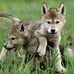 Diana Huff - Facebook