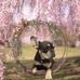 Diana Jarrell - Facebook