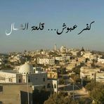 Diana Khalaf - Facebook