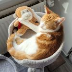 Diana Kirk - @diana.kirk.3388 - Instagram