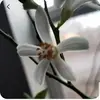 Diana Kirk - @diana.kirk7 - TikTok