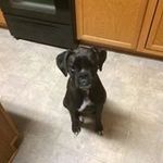 Diana Kiser - @kiser.diana - Instagram