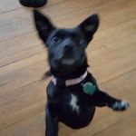 Diana Kiser - @dgreen746 - Instagram