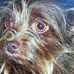 Dianna Daye Kiser - Facebook