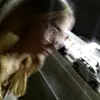 Diana Lenz - @dih.lenz - TikTok