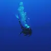 Diana Lenz - @dianalenzz - TikTok