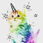 Diana Locklear - @fan.of.cats.and.unicorns - Instagram