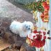 Diana Maher - Facebook