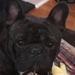 Diana Manning - @manning9499 - Instagram