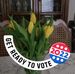 Diana Manning - Facebook