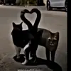 Diana Mares - @diana.mares23 - TikTok