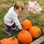 Diana McCann - @diana.mccann.33 - Instagram