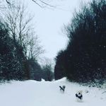 Diana Moeller - @moellerjoerg2 - Instagram