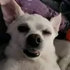 dianamurdock - @dianamurdock - TikTok