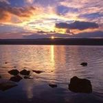 Diana Neeley - @diana.neeley3 - Instagram
