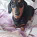 Diana Nicholson - Facebook