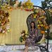 Diana Nistor - Facebook
