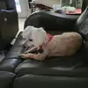 Diana Oliver - @diana.oliver09 - TikTok