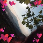 Diana Parente - Facebook