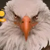Diana Parente - @diana.parente8 - TikTok