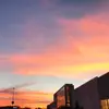 dianapasillas_1 - @dianapasillas_1 - TikTok
