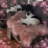 Diana Postma - @dianapostma1 - TikTok