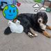 Diana Prochnow - Facebook