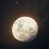 Diana Proctor - @diana.proctor4 - TikTok