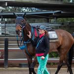 Diana Proctor - @diana.proctor.568 - Instagram
