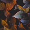 Diana Ricker961 - @dianaricker961 - TikTok