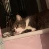 Dianarick_ - @dianarick_ - TikTok