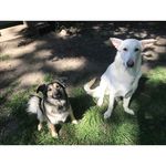 diana ritchie - @ritchie24207 - Instagram