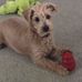 Dianna Ritchie - Facebook