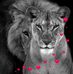 Diana Robles - Facebook