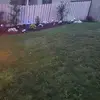 Diana Saunders - @diana.saunders5 - TikTok