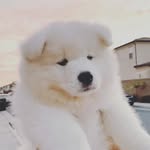Diana spadafora - @spadaforadiana - Instagram