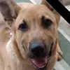 Diana Wright - @diana.wright4 - TikTok
