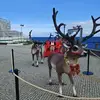 Diane Abel - @diane.abel - TikTok