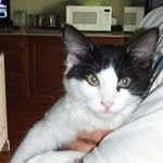Diane abrams judy - @abrams5741 - Instagram