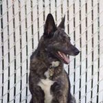Diane Gahr Abrams - @diane.abrams.332 - Instagram