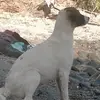 Diane Acosta - @diane.acosta - TikTok