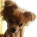 Diane Aitken - Facebook