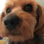 Diane Aitken - @allthingsdi - Instagram