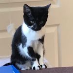 Diane Allman - @daltry206 - Instagram