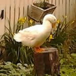 Diane Althouse - @d.althouse - Instagram